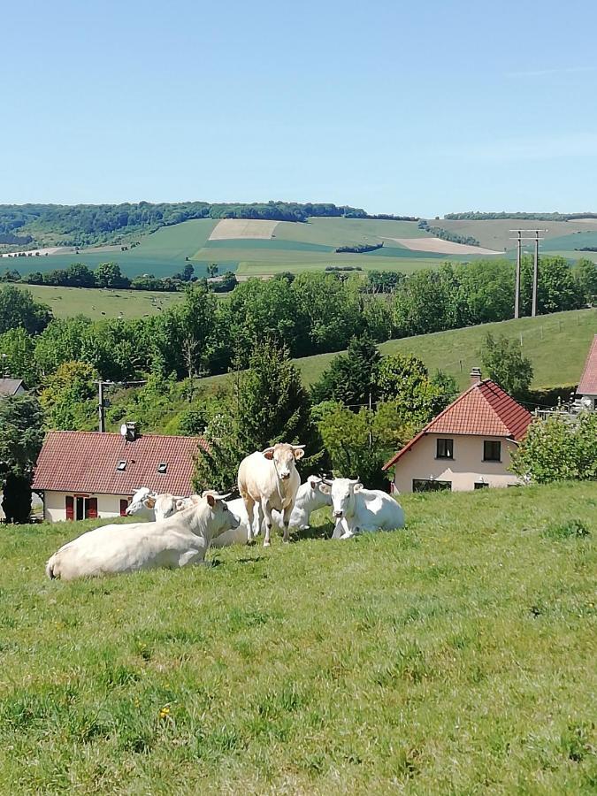 Gite La Bulle Enchantee Bezinghem Экстерьер фото